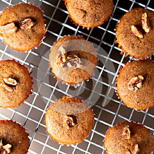 Freshly baked pumpkin muffins with walnuts, cinnamon and nutmeg