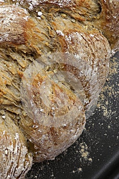 Freshly baked sunflower seed three strand bread plait