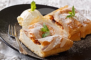 Freshly baked sweet cheese strudel with vanilla ice cream close-up. horizontal