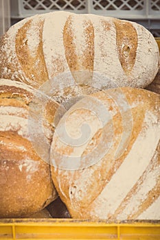 Freshly baked traditional loaves of wheat or rye bread in bakery