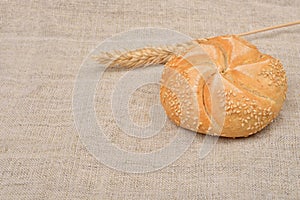 Freshly baked whole grain round sandwich bun sprinkled with sesame seeds with ears of wheat near on jute background. Whole grain