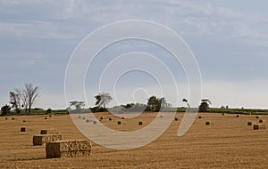 Freshly baled hay in a summer field