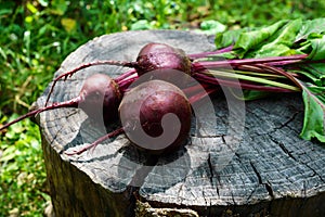 Freshly beets on an old tree stump.