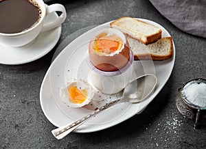 Freshly boiled brown egg