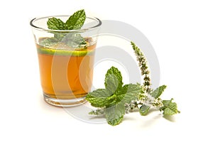 freshly brewed chinese tea on white background