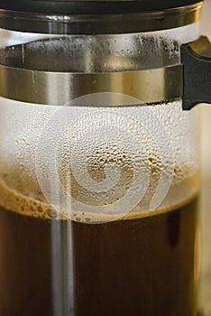 freshly brewed coffee in french press coffee