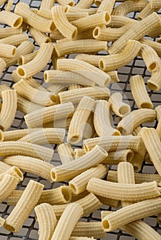 Macaroni pasta in drying