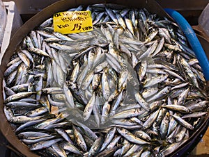 Freshly catched fish, prawns and seafood at morning fish market of Kadikoy in Istanbul, Turkey photo