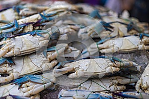 Freshly caught crab on the counter of a fishmonger in Kuala Lumpur, Malaysia. The catch of the day from the morning is sold fresh