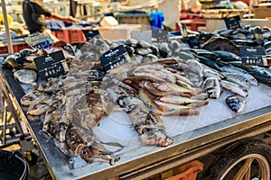 Freshly caught cuttlefish and striped red mullet at the market in Antibes France