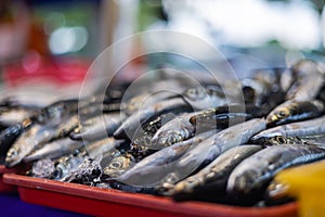 Freshly caught fish on the counter of a fishmonger in Kuala Lumpur, Malaysia. The catch of the day from the morning is sold fresh