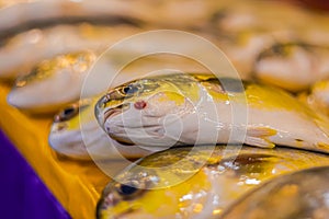 Freshly caught fish on the counter of a fishmonger in Kuala Lumpur, Malaysia. The catch of the day from the morning is sold fresh