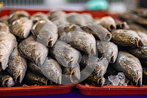 Freshly caught fish on the counter of a fishmonger in Kuala Lumpur, Malaysia. The catch of the day from the morning is sold fresh