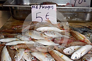 Freshly caught fish, Crete.