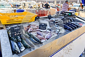 Freshly caught fish at the fish market in the old town or Vieil Antibes, France