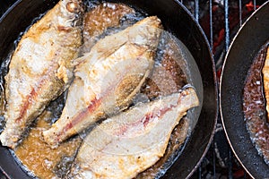 Freshly caught fish is fried in a pan in oil