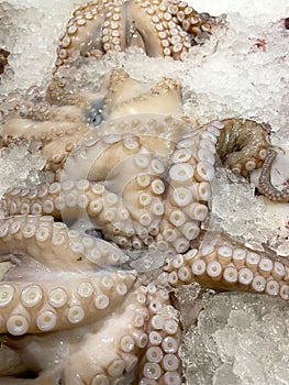 Freshly caught octopus in a box of ice at a farmers market in Greece.