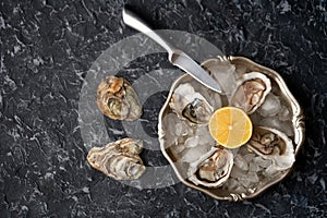 Freshly caught open oysters on a vintage antique metal plate with ice cubes and lemon on a stone texture background