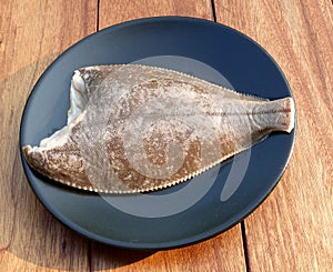 Freshly caught plaice