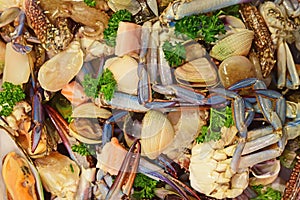 Fresco catturato crudo misto prezzemolo erbe aromatiche sul Schermo sul il mercato 