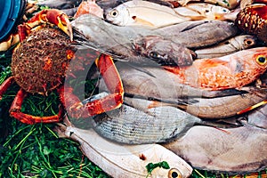 Freshly caught sea fish with crab at the market. Port in Morocco, Atlantic Ocean.