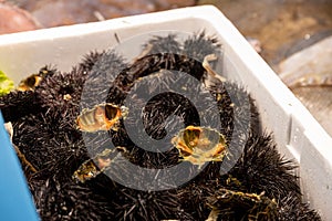 Freshly caught sea urchins. Delicious dinner in a gourmet restaurant near the sea