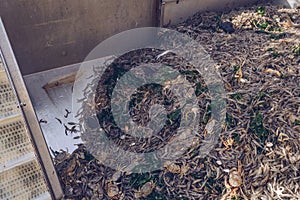 Freshly caught seafood lying in container