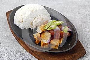 Freshly cooked Filipino food called Tokwa`t Baboy with rice photo