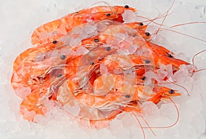 Freshly cooked prawns photo