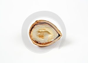 Freshly cracked hazelnut