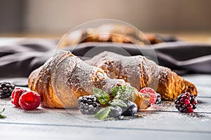 Freshly crispy croissants sprinkled sugar powder with raspberry blackberry and blueberry with mellisa leaves