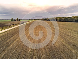 Freshly cultivated farmland with animal trails and small country road, Forest in the background, Cloudy blue sky, Concept