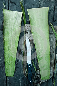 freshly cut leaf of aloe vera on a table