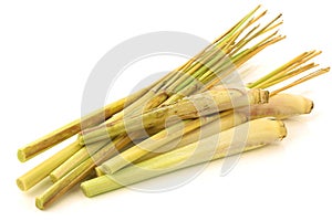 Freshly cut lemon grass(sereh) photo