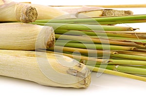 Freshly cut lemon grass(sereh) photo