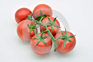 Freshly cut vine tomatoes photo