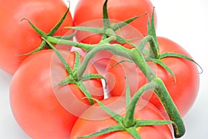 Freshly cut vine tomatoes