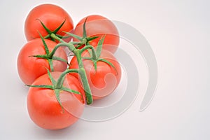 Freshly cut vine tomatoes photo