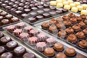 freshly dipped chocolates on setting trays