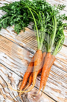 Freshly dug fresh carrots. White background. Top view