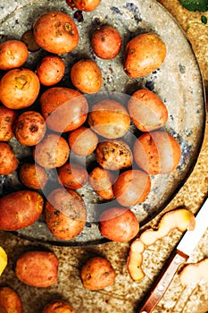 Freshly dug potatoes from a garden. metal table with potatoes. Close up shot of a basket with harvested potatos