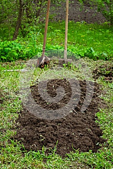 Freshly dug seedbed in vegetable garden. Spring season in countryside