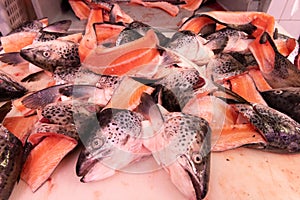 Freshly filleted salmon fish with heads reserved for stock