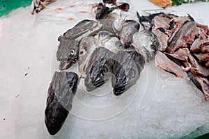 Freshly Fish Kept on Ice for Sale on the Market Counter