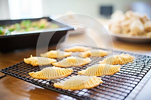 freshly fried chalupa shells, cooling rack