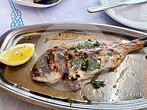 Freshly grilled fish