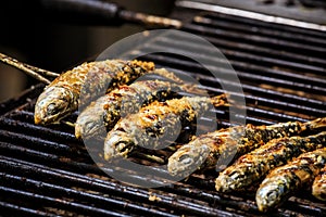 Freshly grilled sardines on the grill