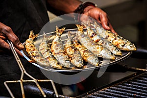 Freshly grilled sardines on silver plate