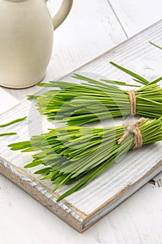 Freshly grown barley grass on a white table