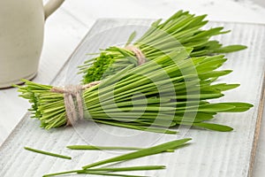 Freshly grown barley grass on a white table